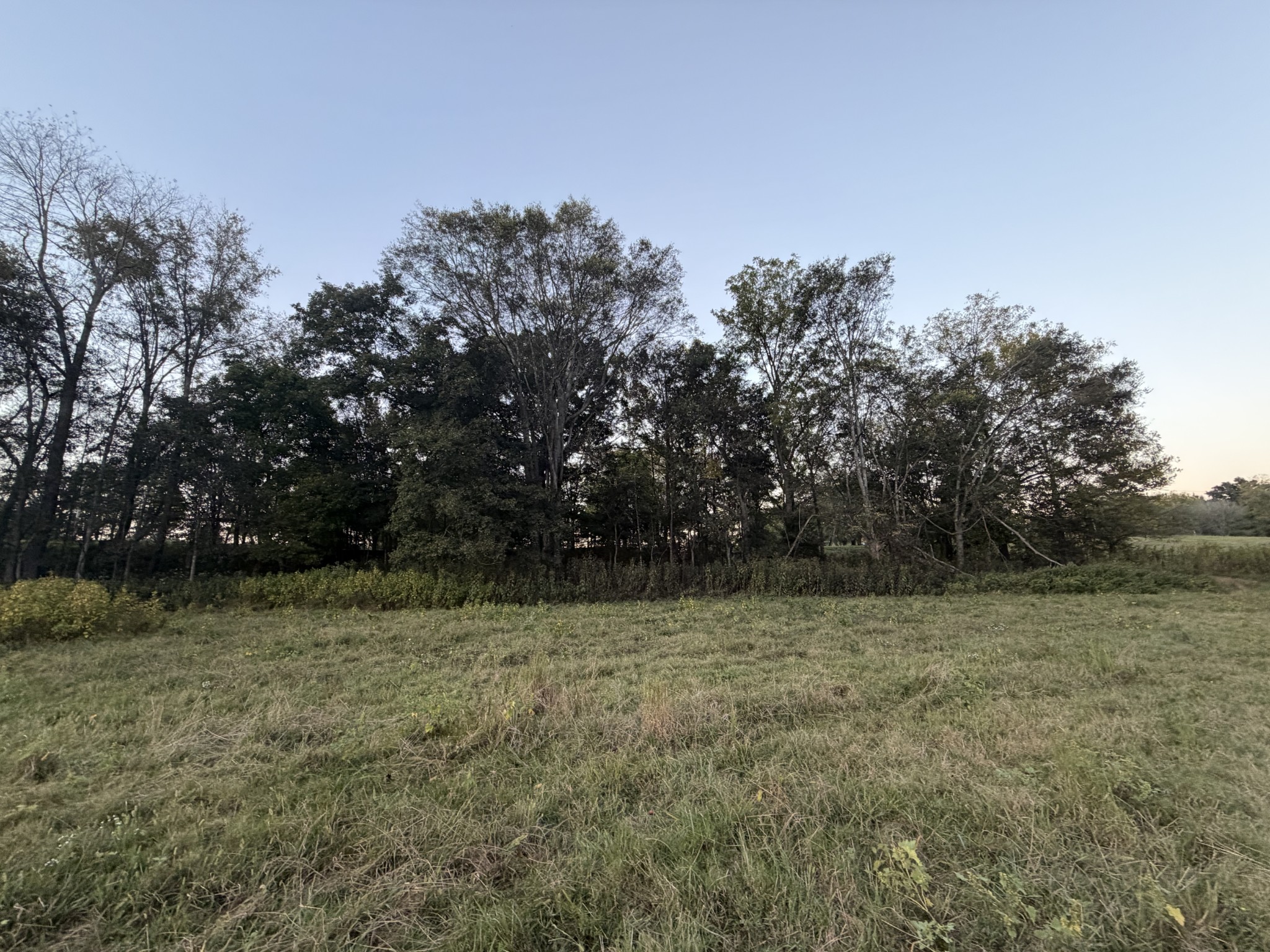 4 Indian Creek Road Cumberland Furnace, TN 37051 - Photo 15 of 70