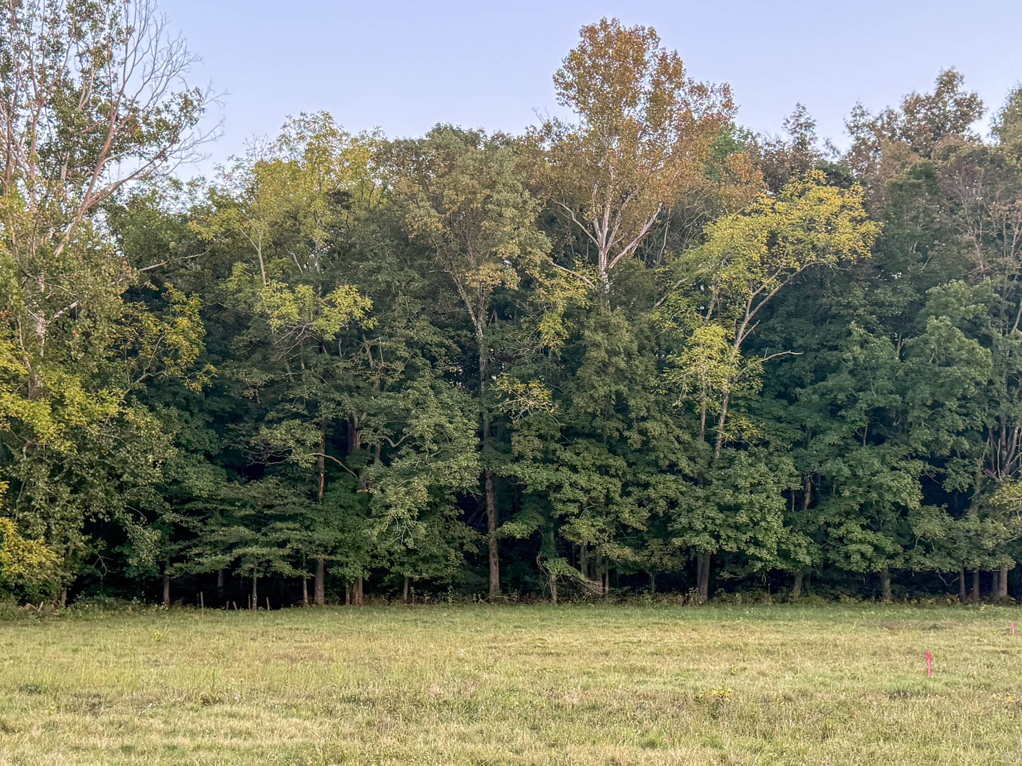4 Indian Creek Road Cumberland Furnace, TN 37051 - Photo 16 of 70 a backyard of a house with lots of green space
