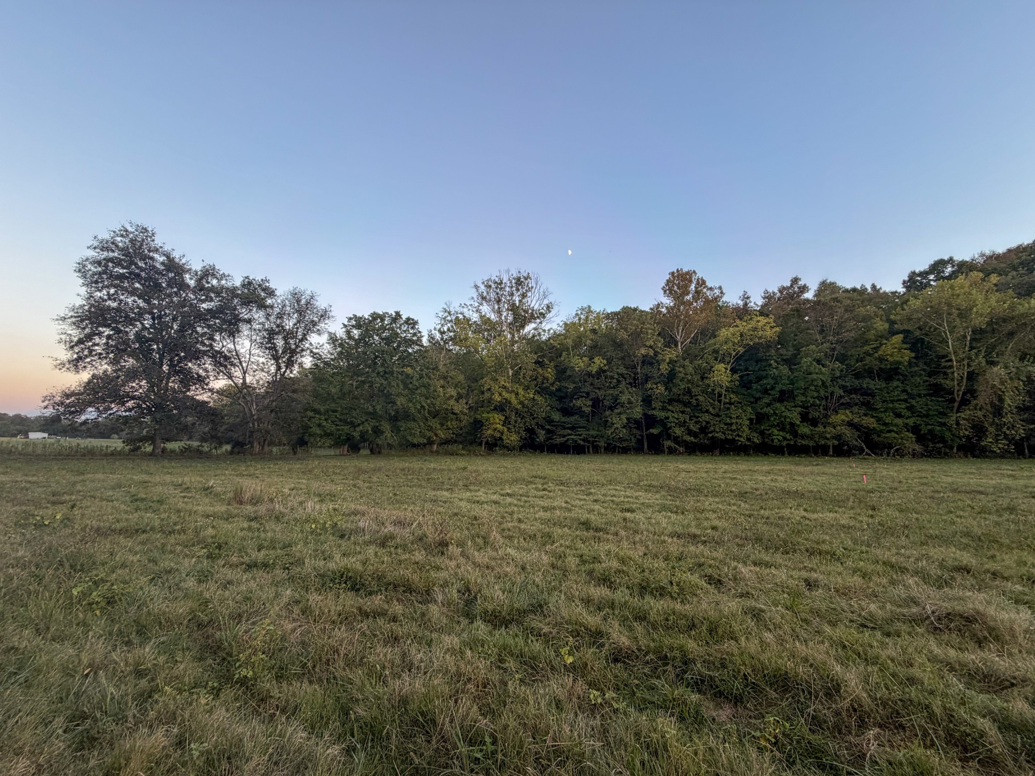 4 Indian Creek Road Cumberland Furnace, TN 37051 - Photo 17 of 70 a view of a field with trees in background