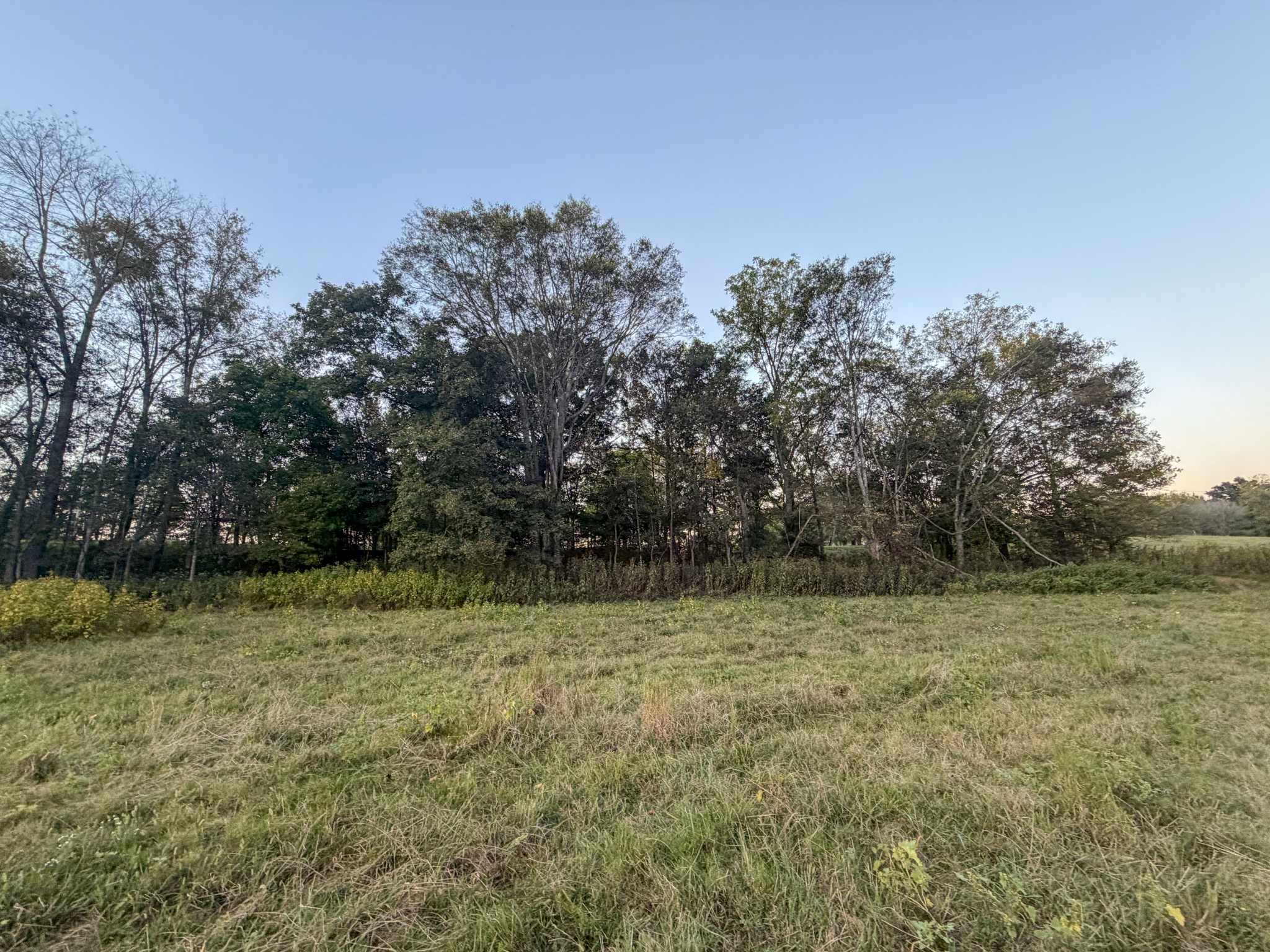 4 Indian Creek Road Cumberland Furnace, TN 37051 - Photo 19 of 70