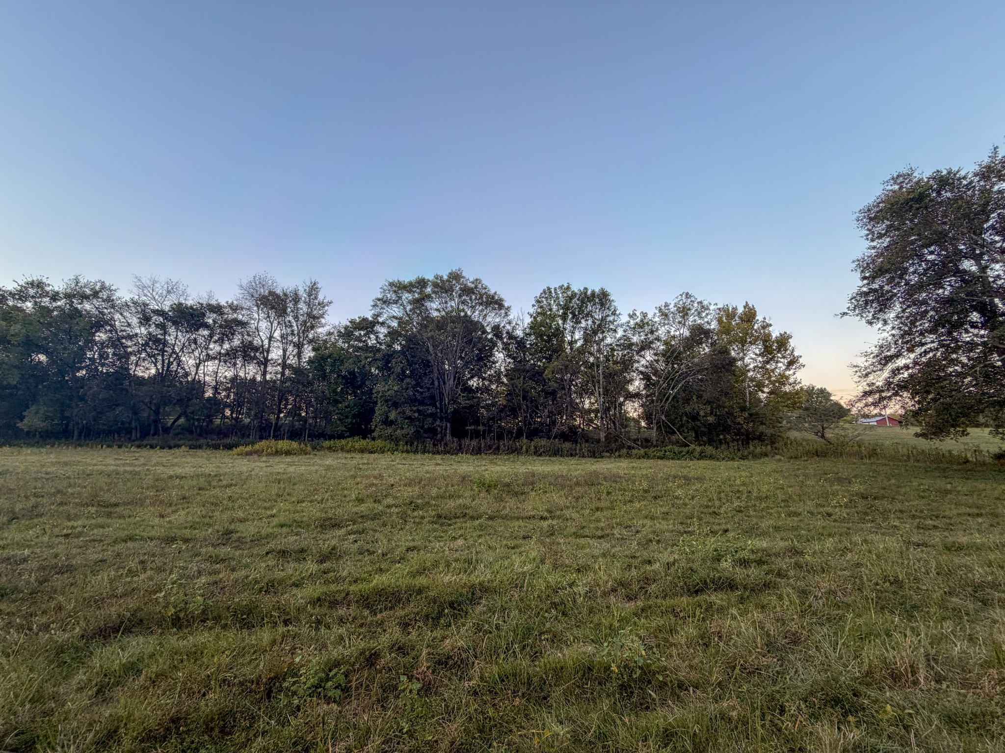 4 Indian Creek Road Cumberland Furnace, TN 37051 - Photo 20 of 70 a view of a field with trees in background