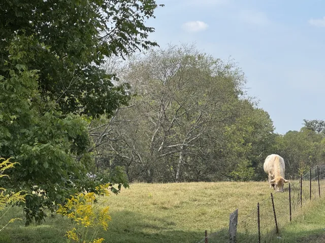 $139,000 | 4 Indian Creek Road, Cumberland Furnace, TN 37051