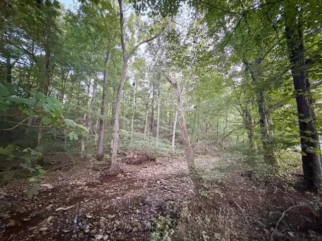 $139,000 | 4 Indian Creek Road, Cumberland Furnace, TN 37051