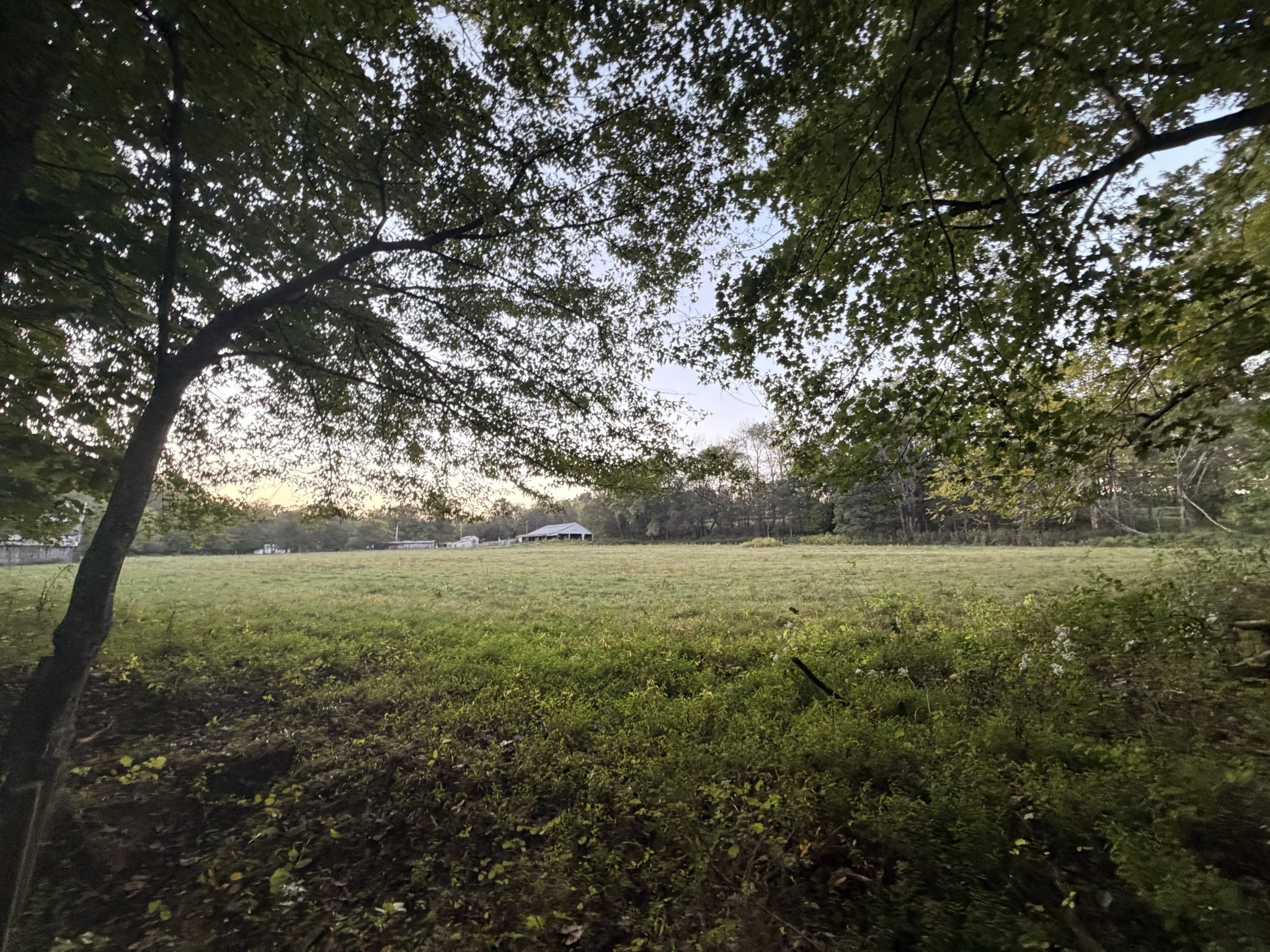 4 Indian Creek Road Cumberland Furnace, TN 37051 - Photo 23 of 70 a view of outdoor space and yard