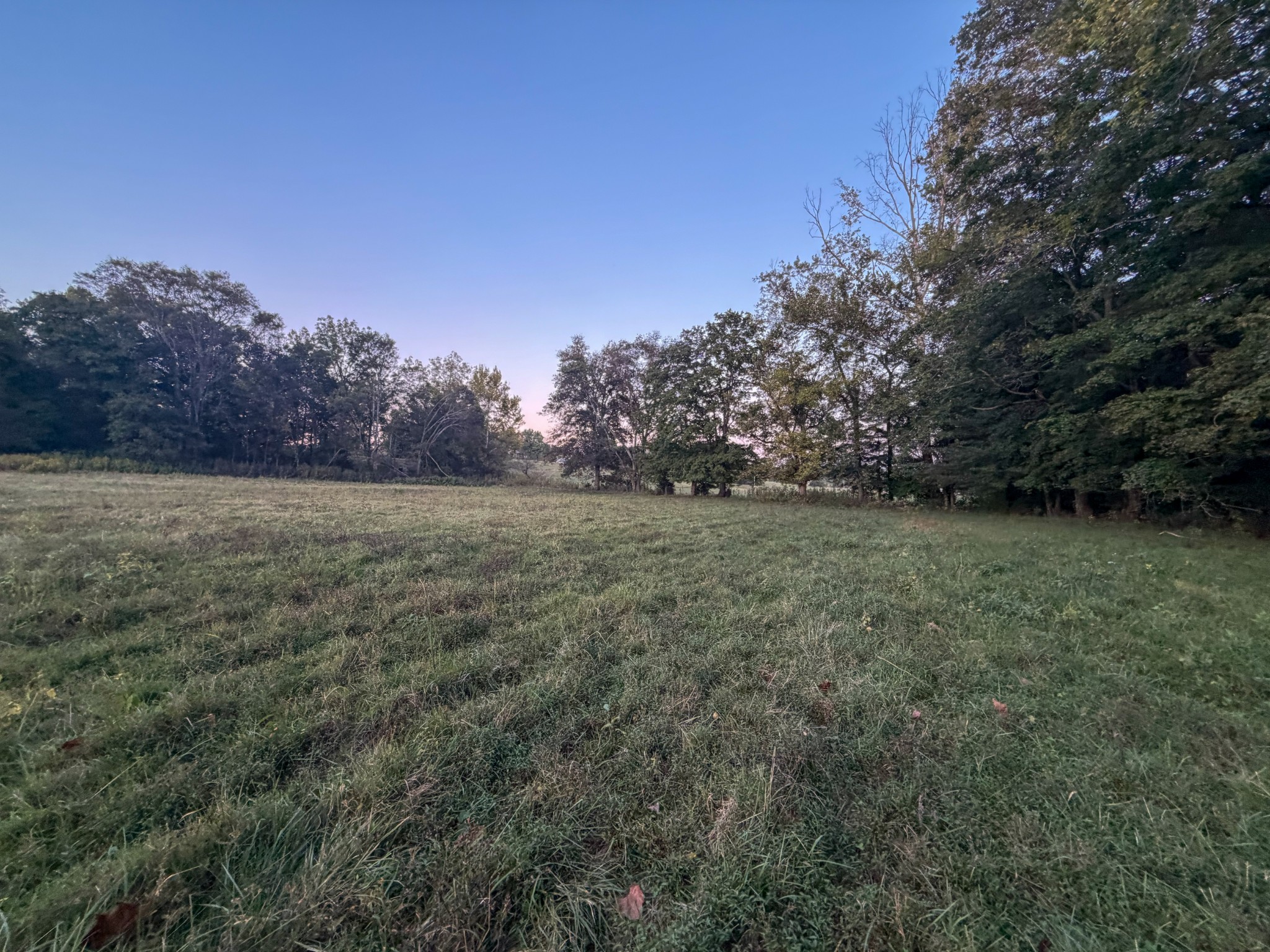 4 Indian Creek Road Cumberland Furnace, TN 37051 - Photo 29 of 70 a view of outdoor space with trees all around