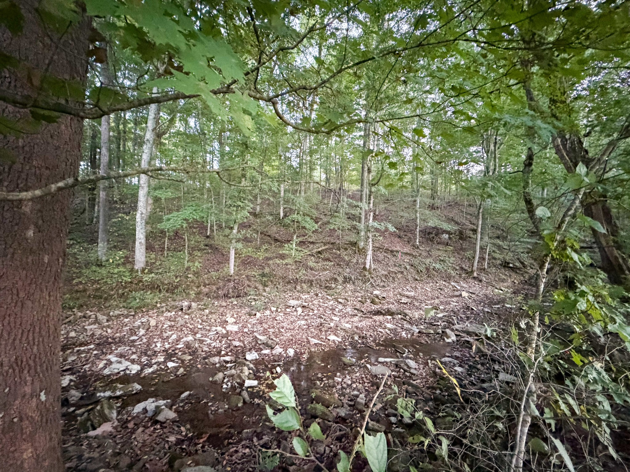 4 Indian Creek Road Cumberland Furnace, TN 37051 - Photo 30 of 70