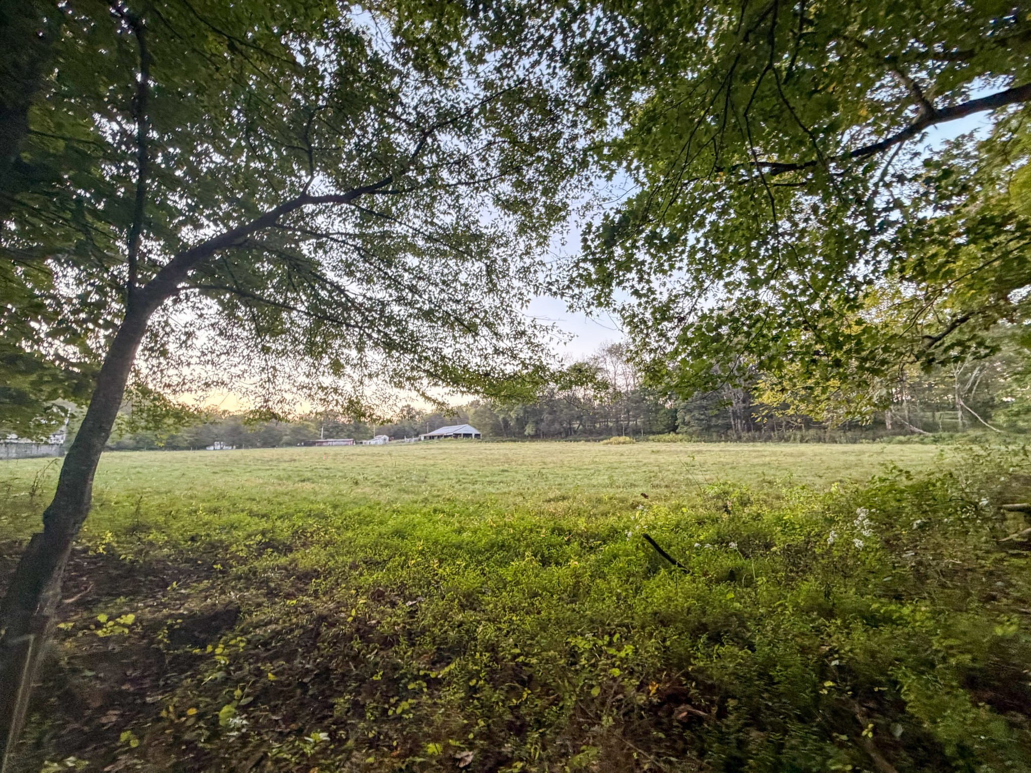 4 Indian Creek Road Cumberland Furnace, TN 37051 - Photo 3 of 70 a view of yard with large tree
