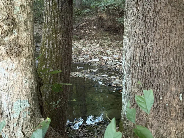 $139,000 | 4 Indian Creek Road, Cumberland Furnace, TN 37051