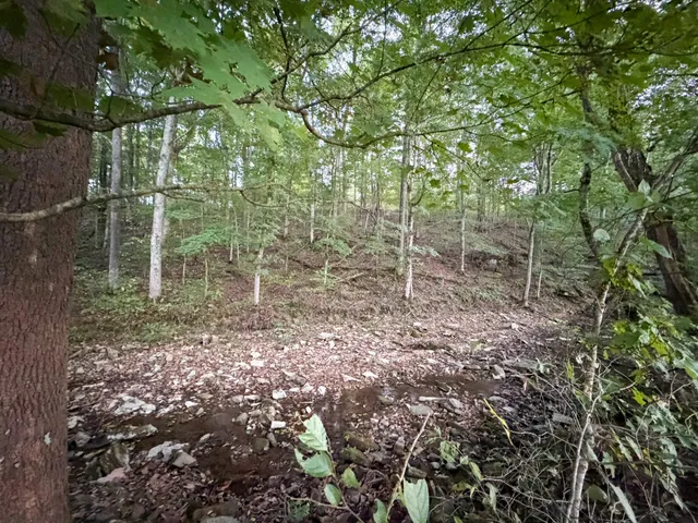 $139,000 | 4 Indian Creek Road, Cumberland Furnace, TN 37051