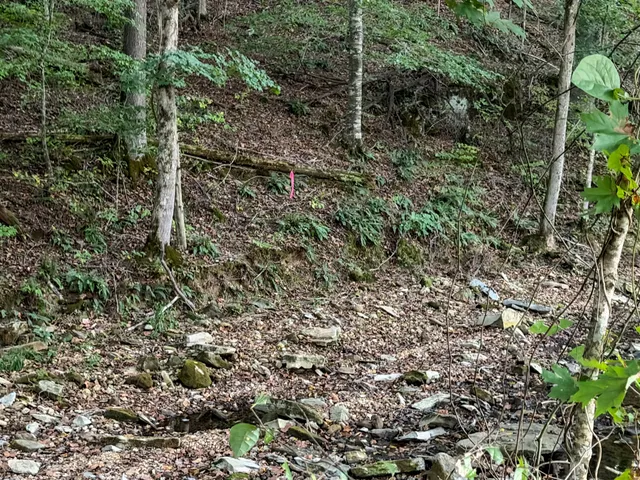 $139,000 | 4 Indian Creek Road, Cumberland Furnace, TN 37051