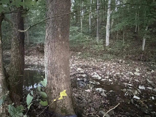 $139,000 | 4 Indian Creek Road, Cumberland Furnace, TN 37051