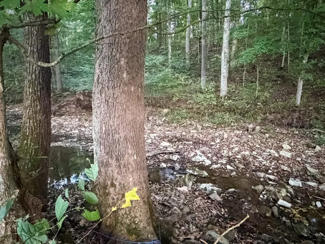 $139,000 | 4 Indian Creek Road, Cumberland Furnace, TN 37051