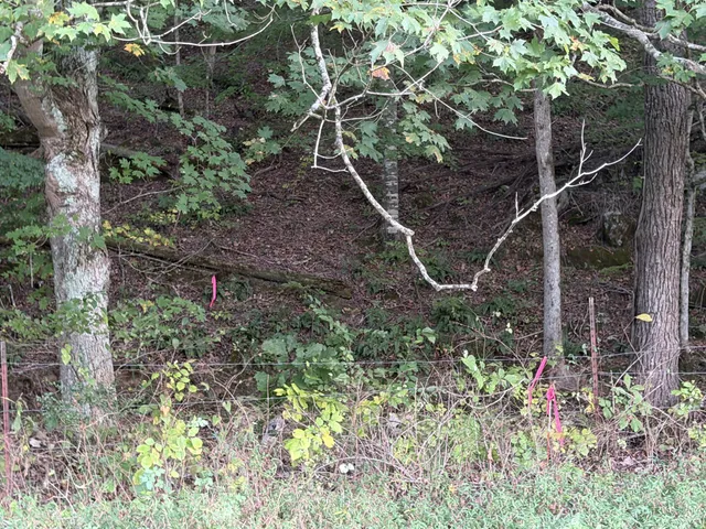 $139,000 | 4 Indian Creek Road, Cumberland Furnace, TN 37051