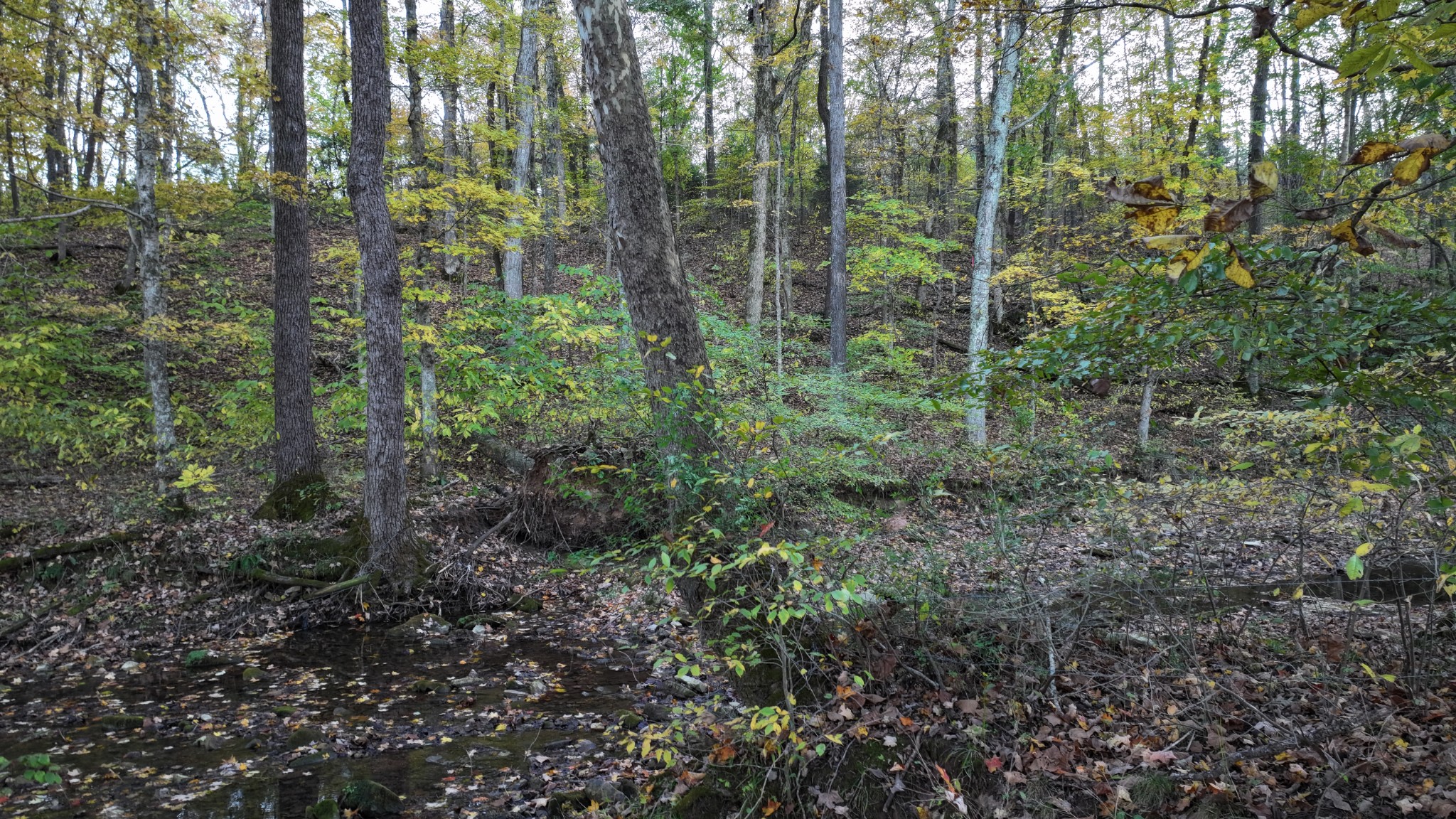 4 Indian Creek Road Cumberland Furnace, TN 37051 - Photo 43 of 70