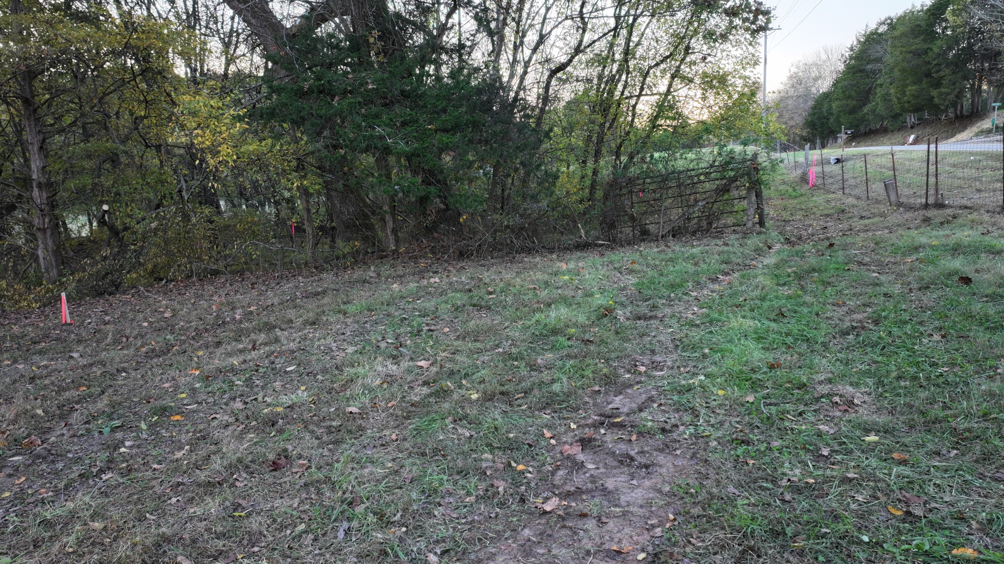 4 Indian Creek Road Cumberland Furnace, TN 37051 - Photo 44 of 70 a view of a forest with trees in the background