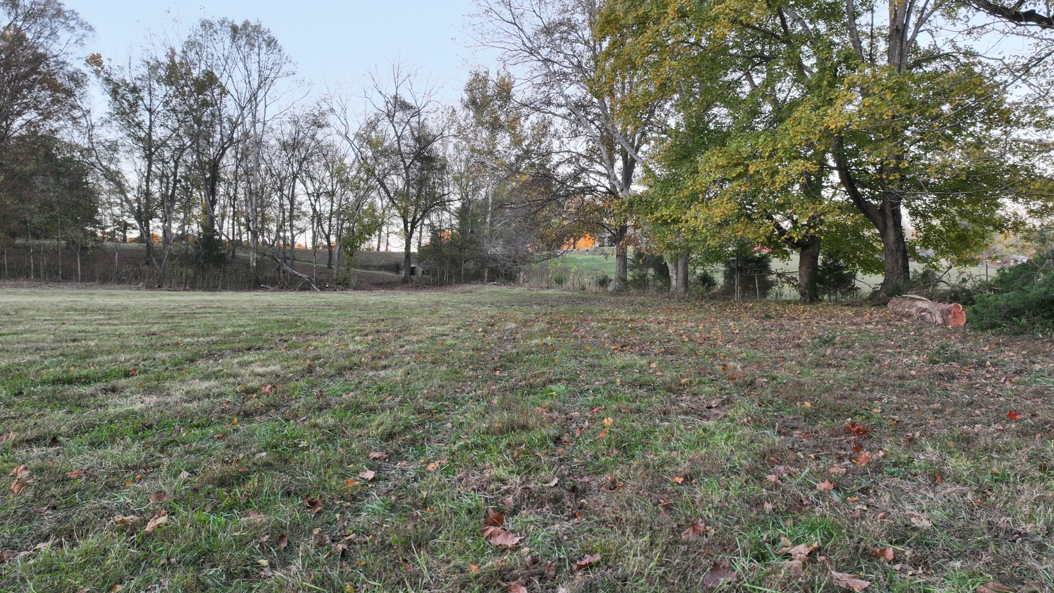 4 Indian Creek Road Cumberland Furnace, TN 37051 - Photo 48 of 70 a view of a field with trees in background
