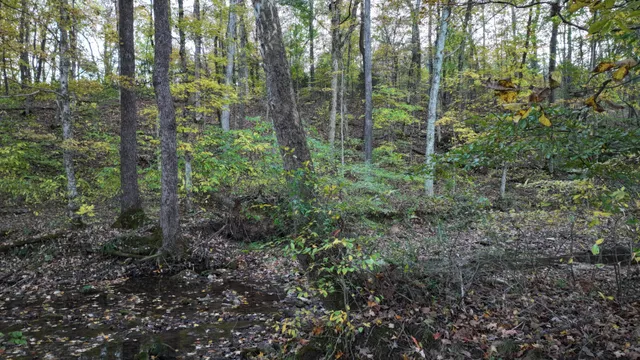 $139,000 | 4 Indian Creek Road, Cumberland Furnace, TN 37051