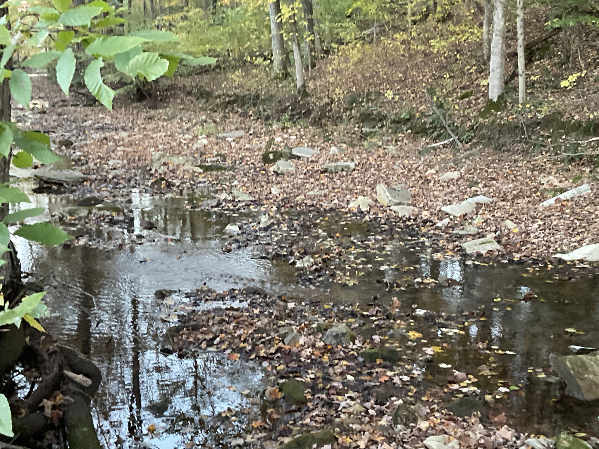 4 Indian Creek Road Cumberland Furnace, TN 37051 - Photo 49 of 70
