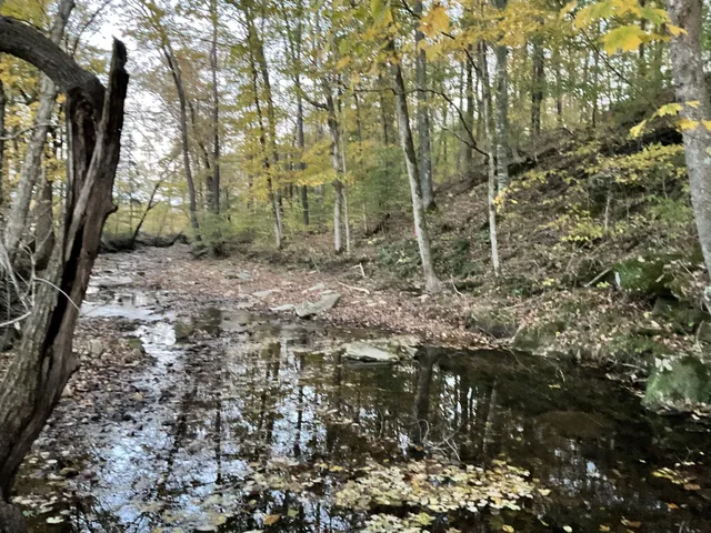 $139,000 | 4 Indian Creek Road, Cumberland Furnace, TN 37051