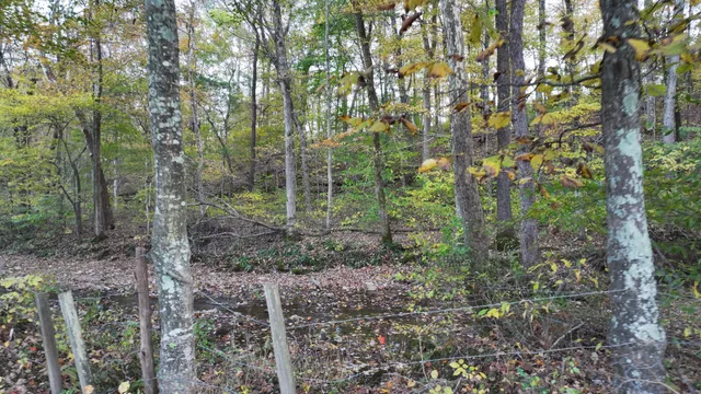 $139,000 | 4 Indian Creek Road, Cumberland Furnace, TN 37051