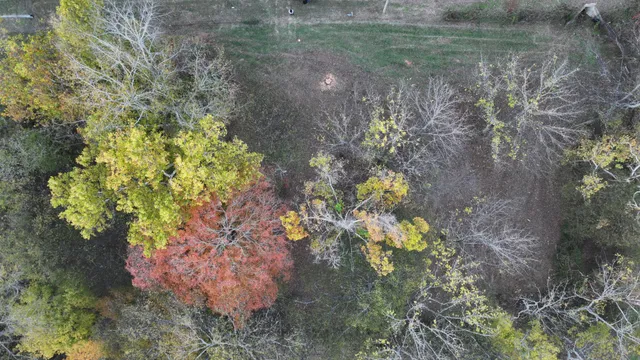 $139,000 | 4 Indian Creek Road, Cumberland Furnace, TN 37051