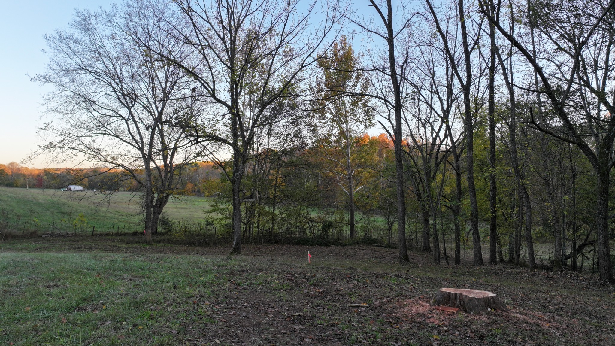 4 Indian Creek Road Cumberland Furnace, TN 37051 - Photo 60 of 70 a view of a forest filled with trees