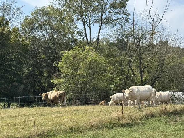 $139,000 | 4 Indian Creek Road, Cumberland Furnace, TN 37051