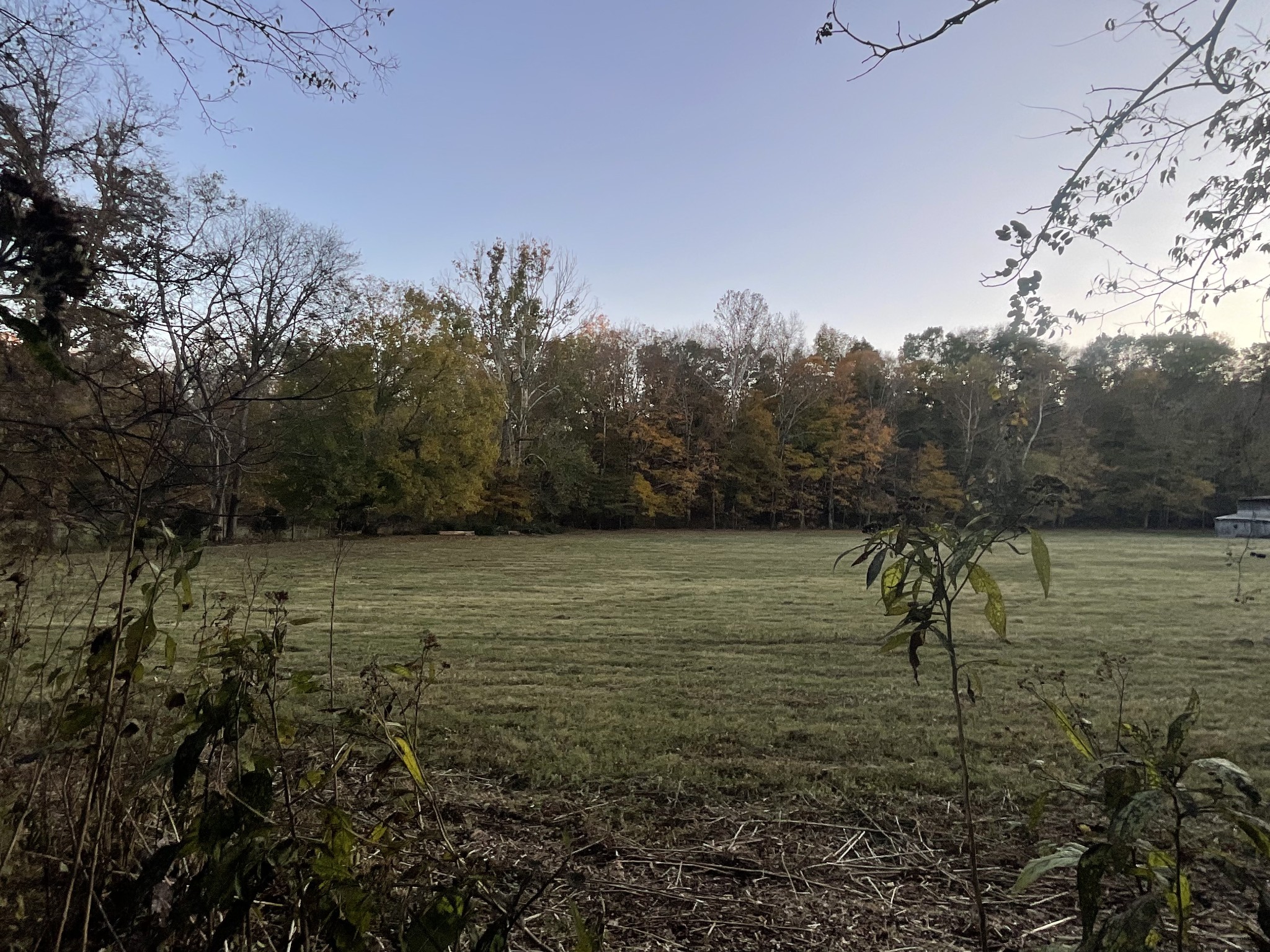 4 Indian Creek Road Cumberland Furnace, TN 37051 - Photo 61 of 70 a view of a yard with a tree