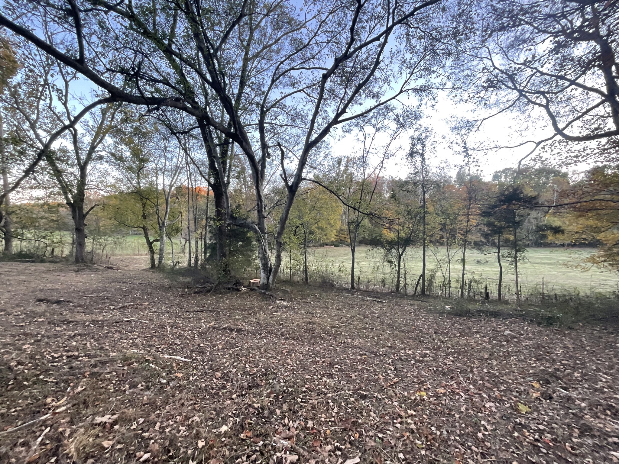 4 Indian Creek Road Cumberland Furnace, TN 37051 - Photo 62 of 70 a backyard of a house with lots of green space