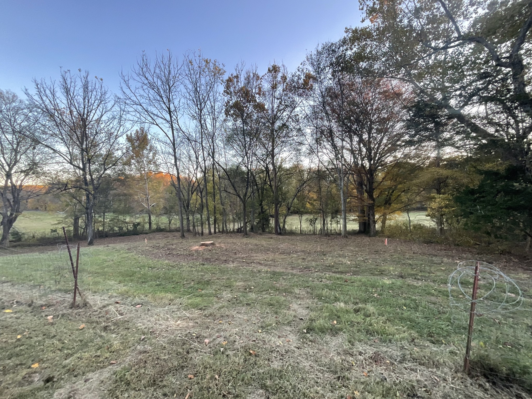 4 Indian Creek Road Cumberland Furnace, TN 37051 - Photo 65 of 70 a view of outdoor space with trees all around