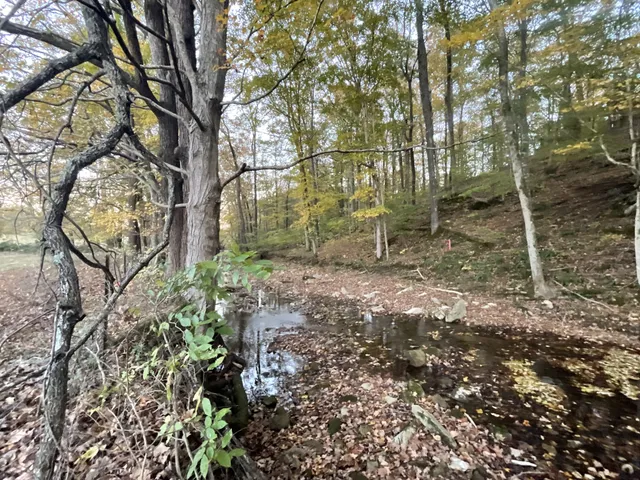 $139,000 | 4 Indian Creek Road, Cumberland Furnace, TN 37051