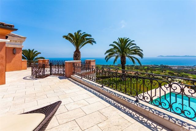 a view of a palm plant from a floor