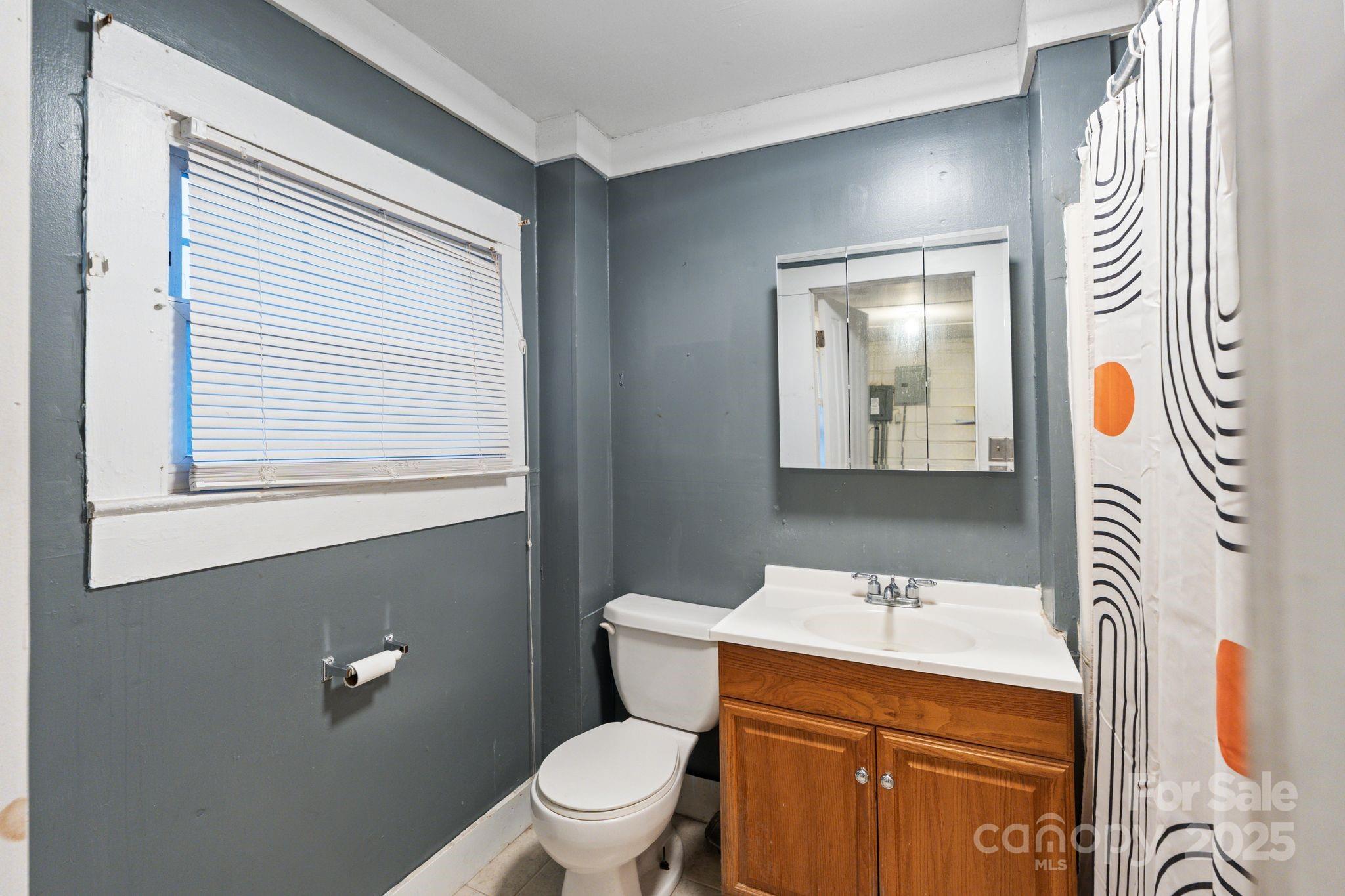 6921 Harmony Grove Road Nebo, NC 28761 - Photo 16 of 20 a bathroom with a sink a toilet and mirror