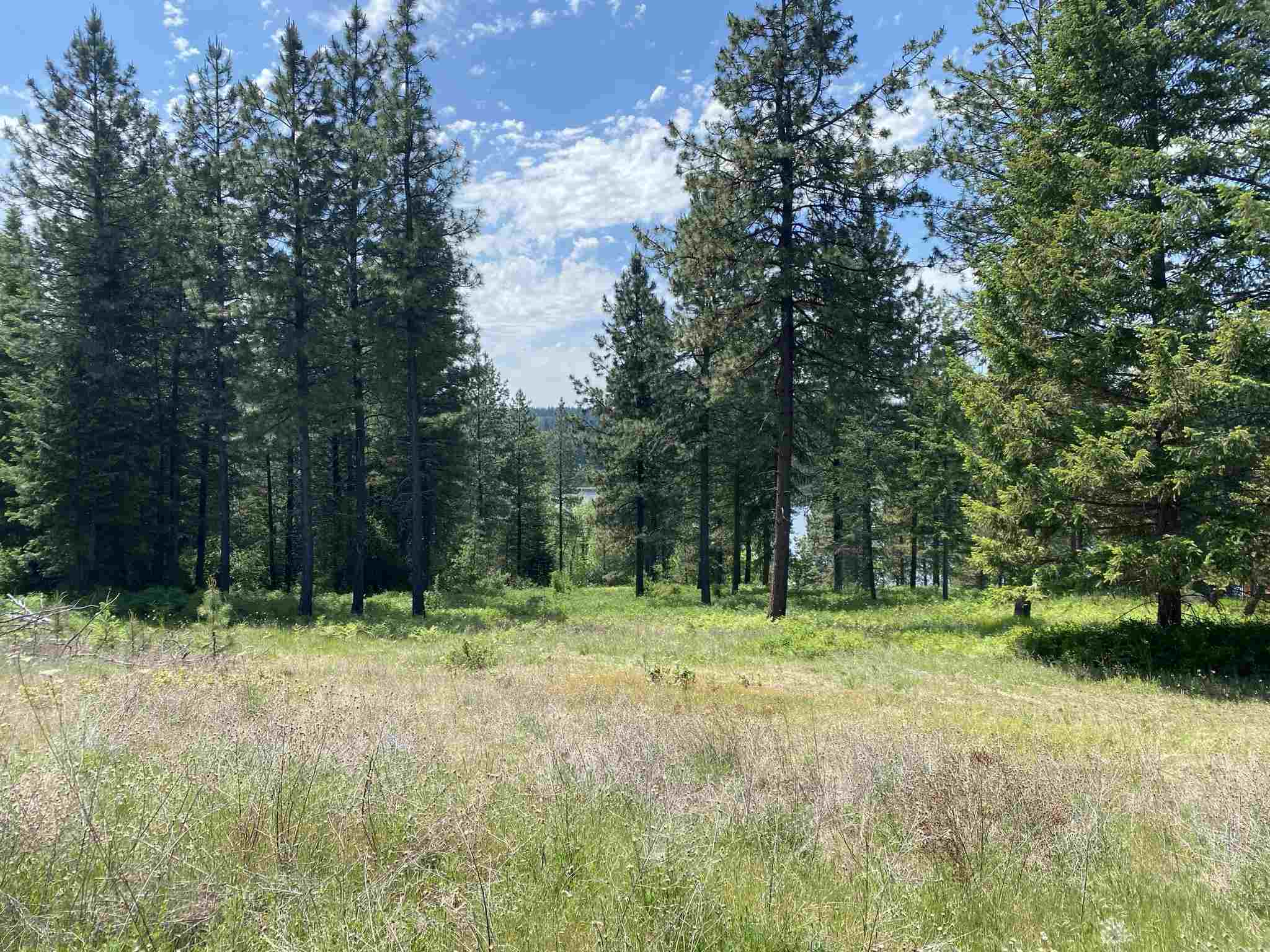 0 East Sandy Beach Road Elk, WA 99009 - Photo 1 of 13