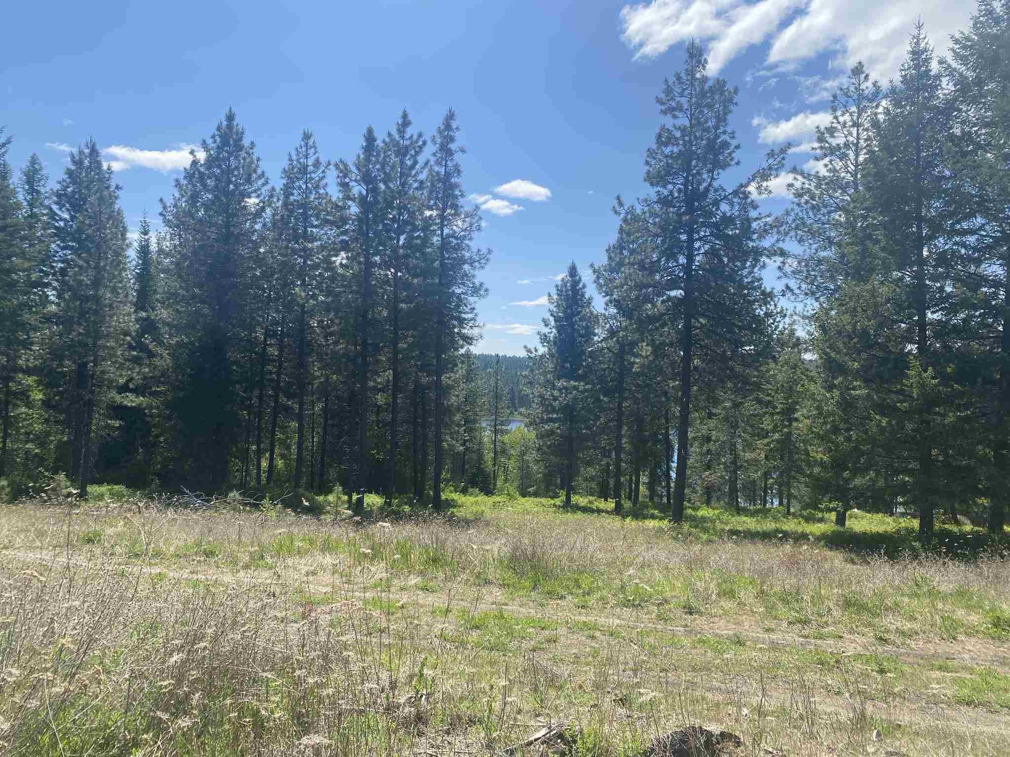0 East Sandy Beach Road Elk, WA 99009 - Photo 2 of 13