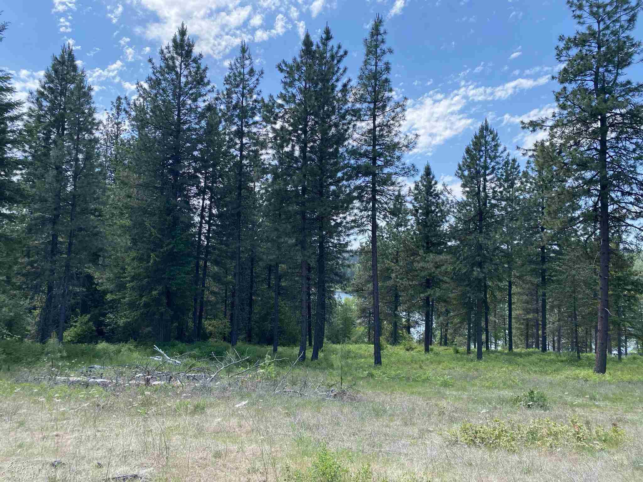 0 East Sandy Beach Road Elk, WA 99009 - Photo 12 of 13