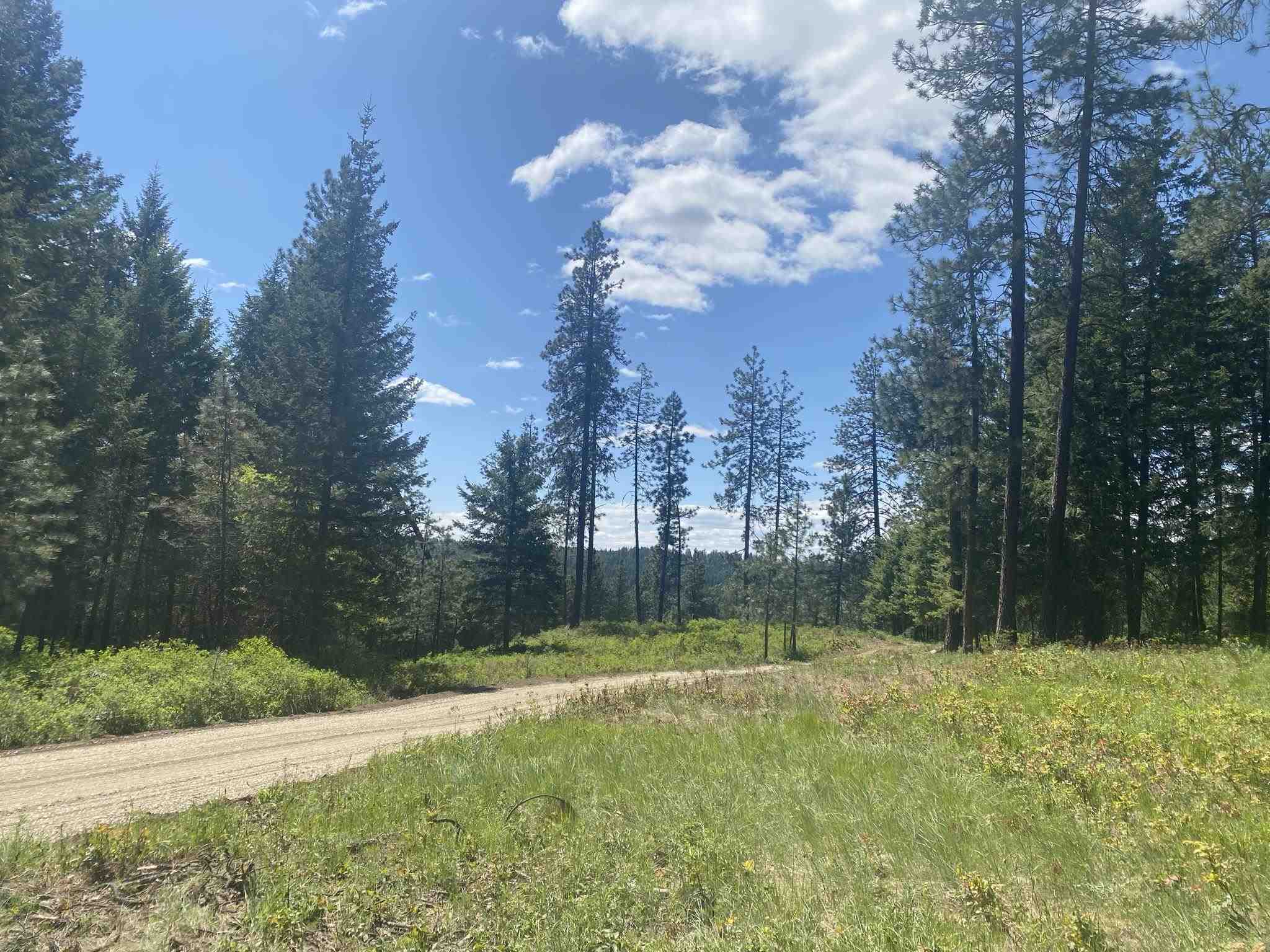 0 East Sandy Beach Road Elk, WA 99009 - Photo 3 of 13