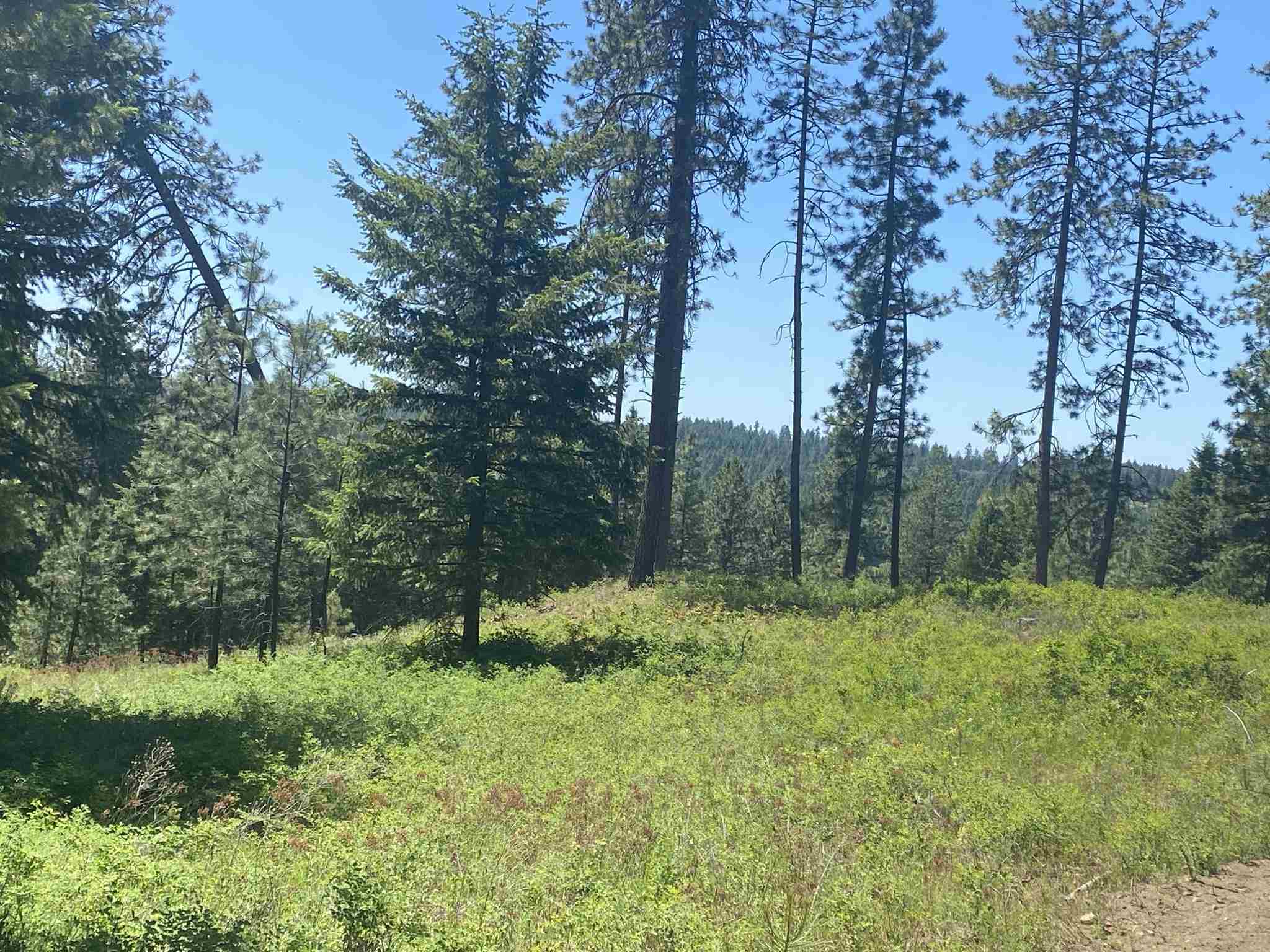 0 East Sandy Beach Road Elk, WA 99009 - Photo 4 of 13