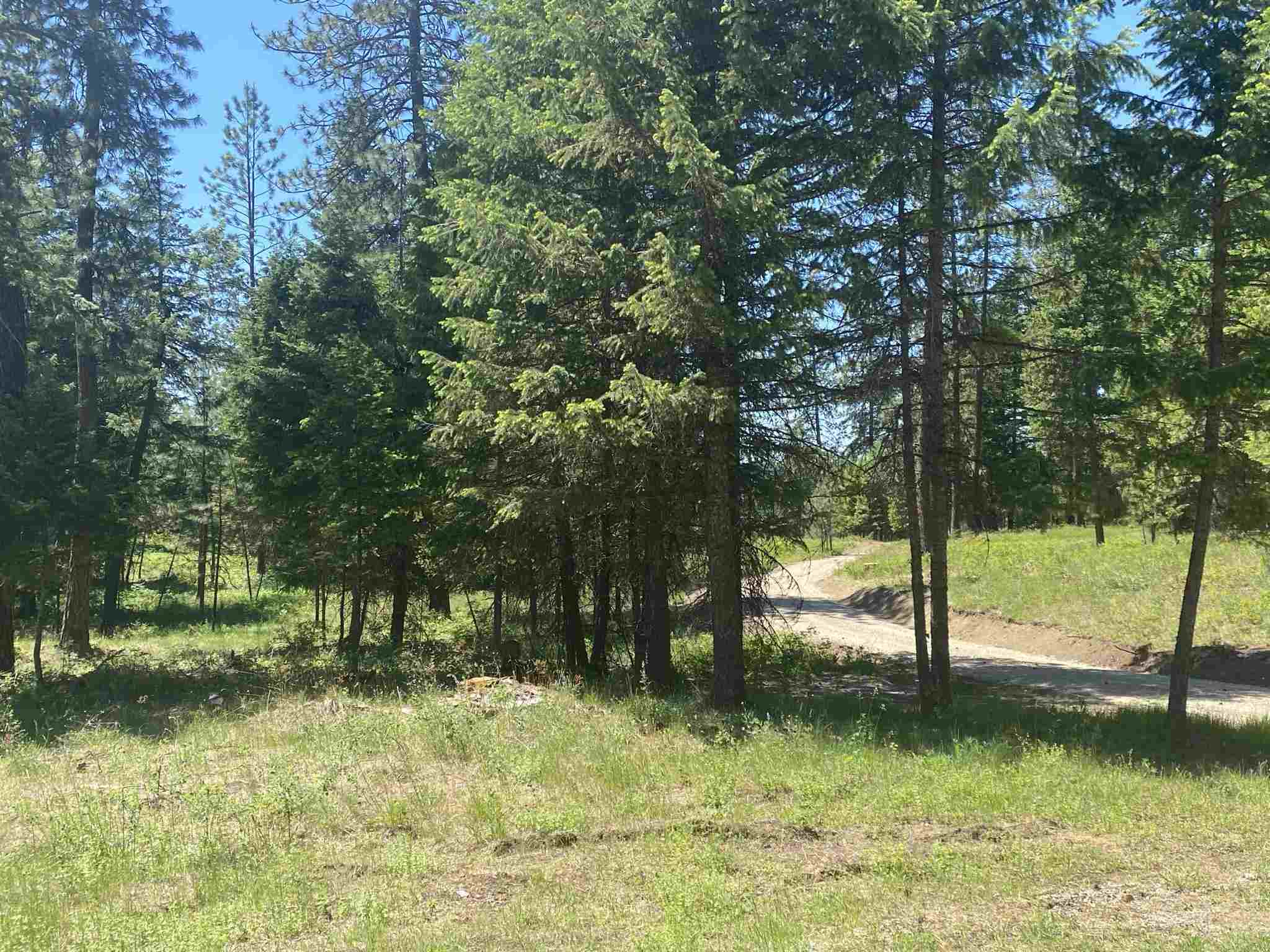 0 East Sandy Beach Road Elk, WA 99009 - Photo 5 of 13