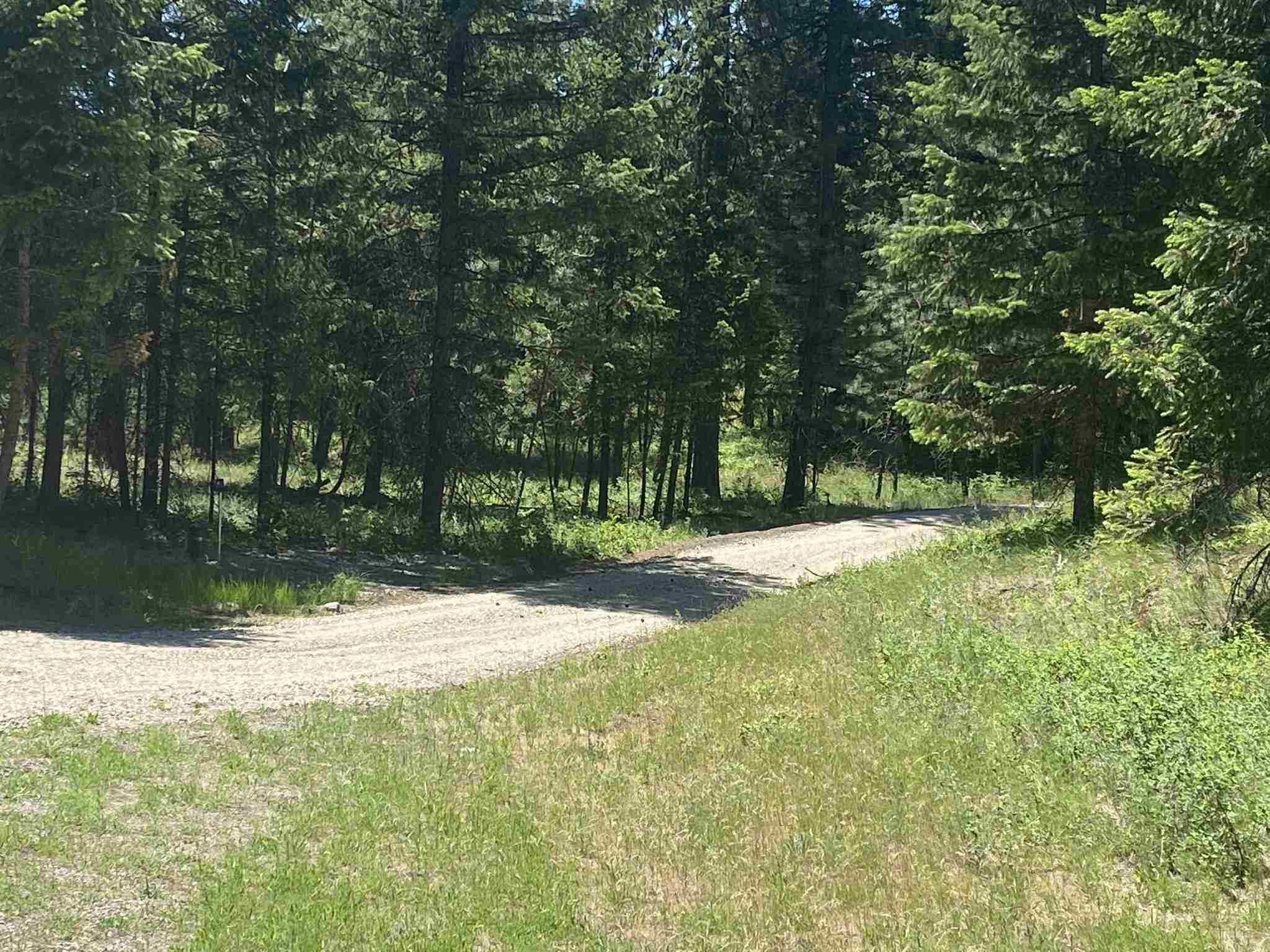 0 East Sandy Beach Road Elk, WA 99009 - Photo 6 of 13