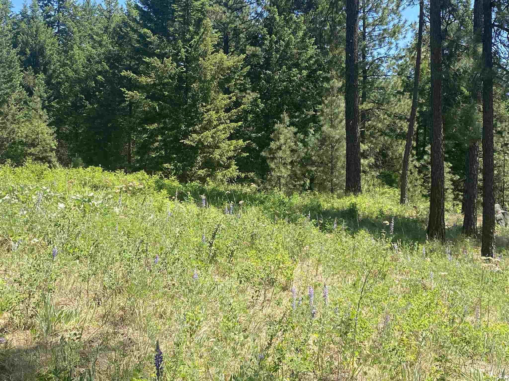 0 East Sandy Beach Road Elk, WA 99009 - Photo 7 of 13