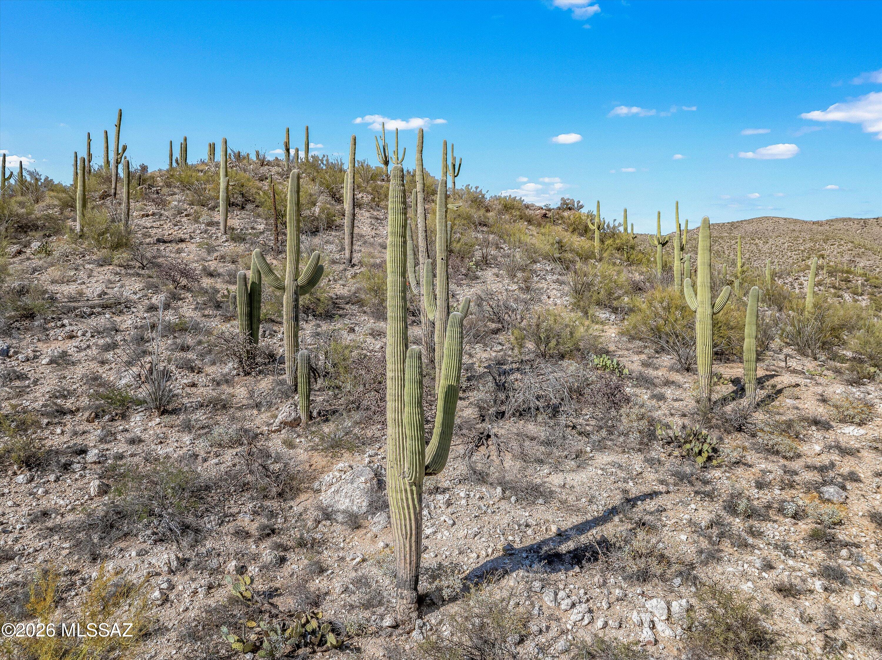 13716 Placita Del Inca, Unit 8 Tucson, AZ 85749 - Photo 33 of 37
