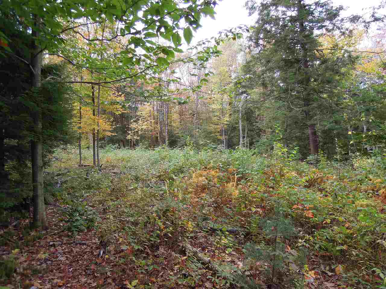 0 Old Stagecoach Road Marlow, NH 03456 - Photo 14 of 30 Gallery Image 14