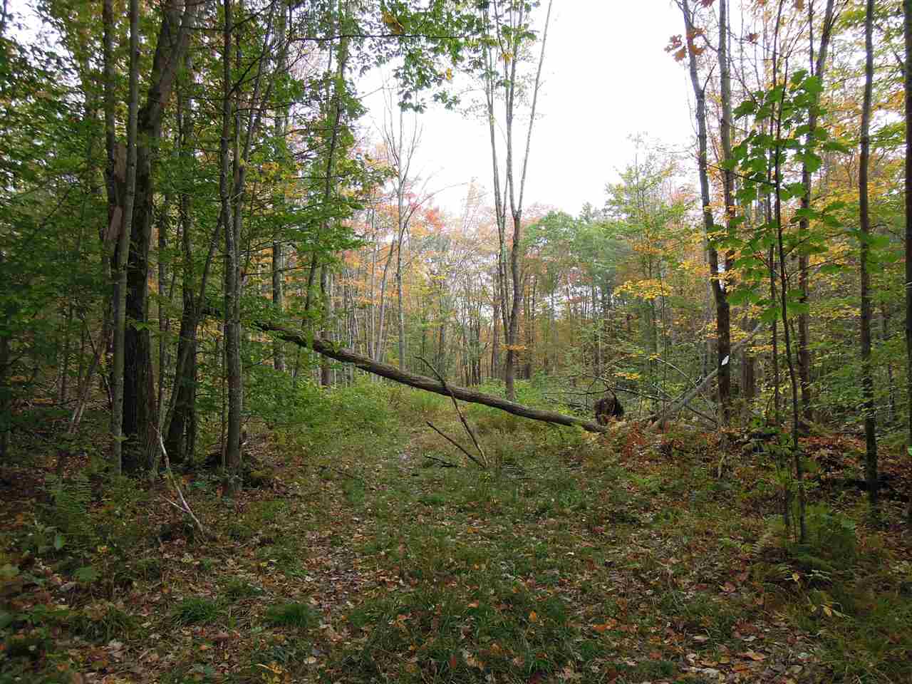 0 Old Stagecoach Road Marlow, NH 03456 - Photo 3 of 30 Gallery Image 3