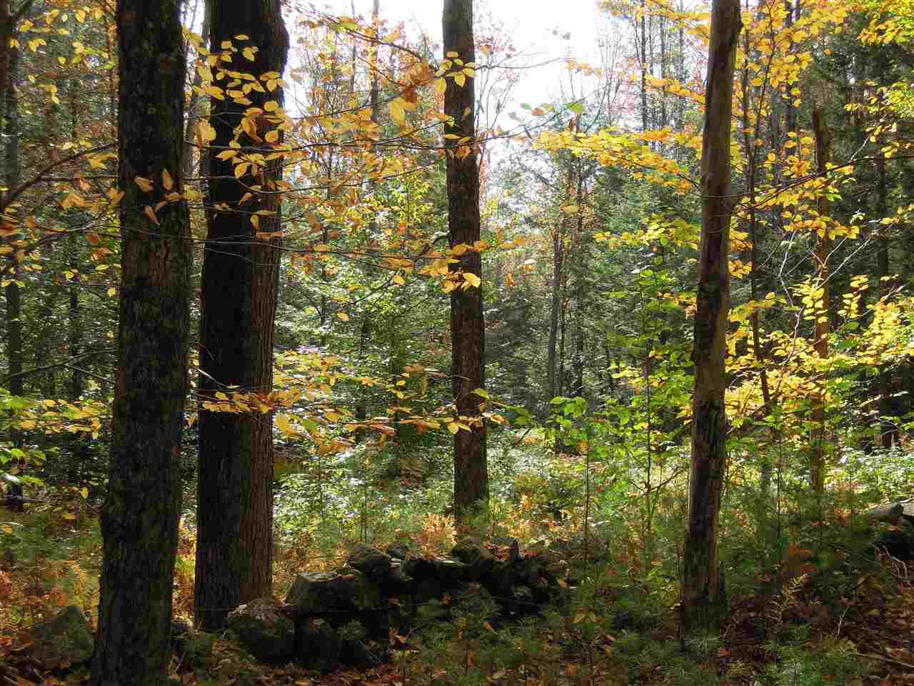 0 Old Stagecoach Road Marlow, NH 03456 - Photo 22 of 30 Gallery Image 22