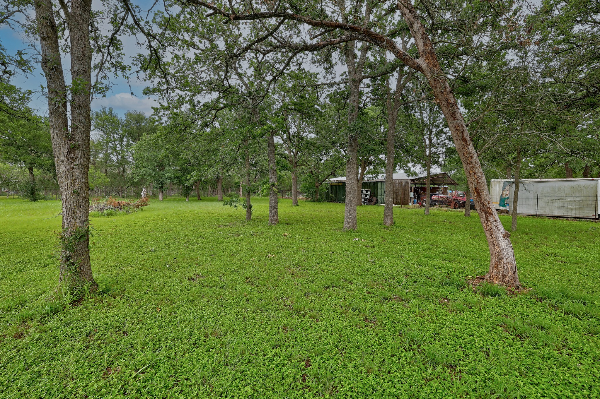 288 The Forest Road Dale, TX 78616 - Photo 27 of 31 a view of a park with large trees