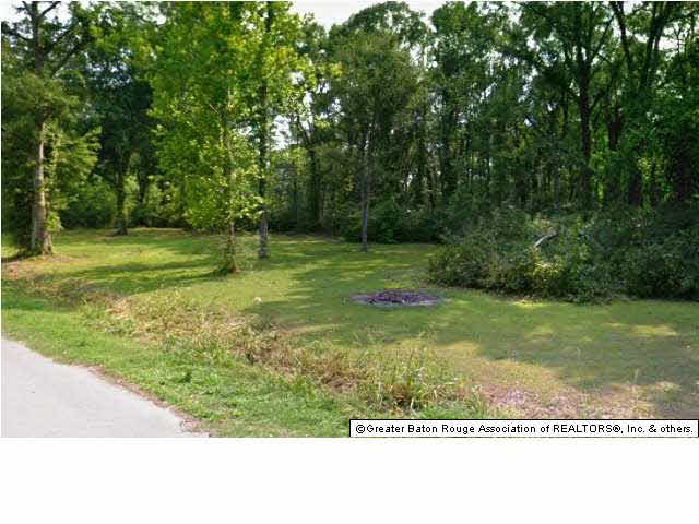 Tbd Raymond Braud Road Gonzales, LA 70737 - Photo 1 of 3 Gallery Image 1