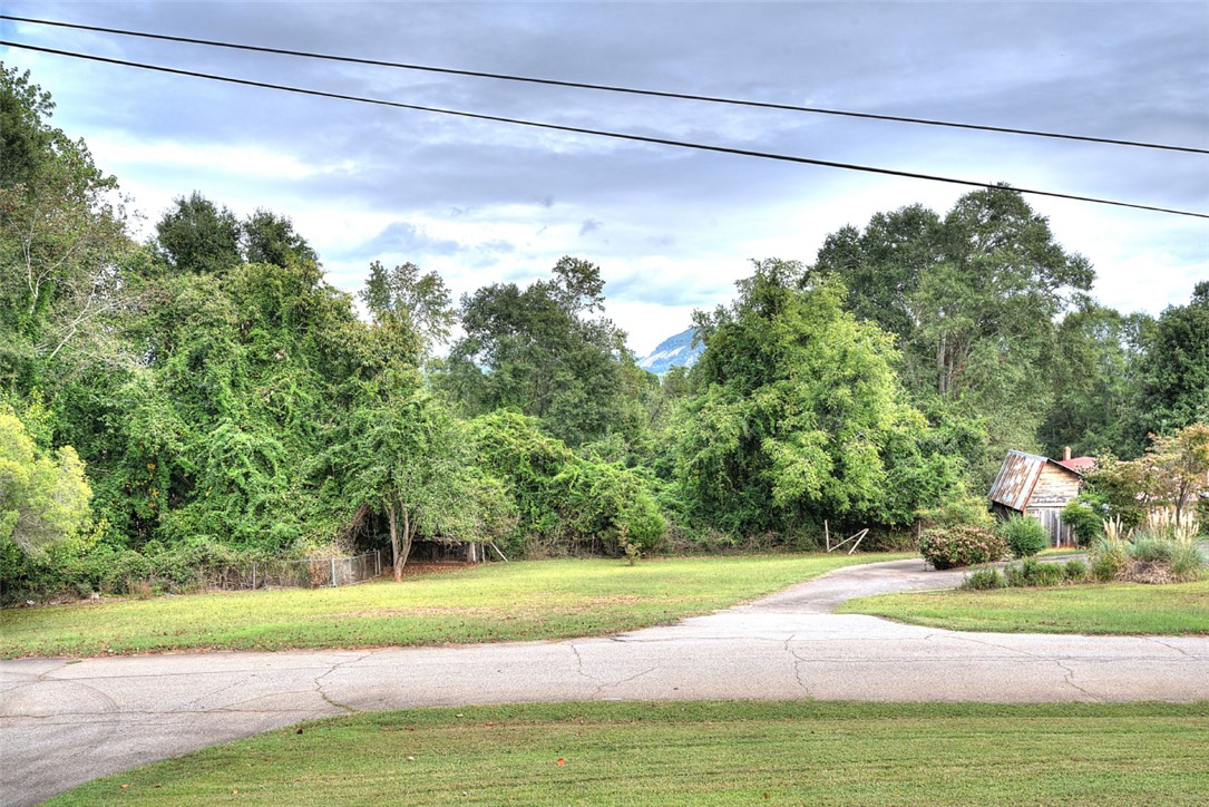 236 Connie Drive Pickens, SC 29671 - Photo 42 of 42