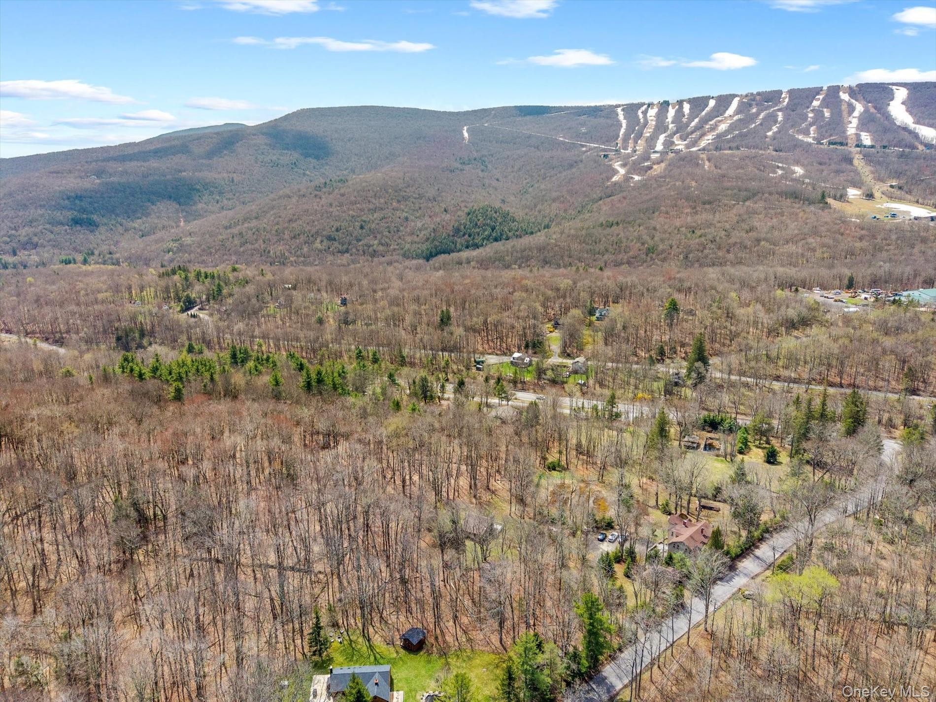 18 Barley Road Pine Hill, NY 12465 - Photo 41 of 50