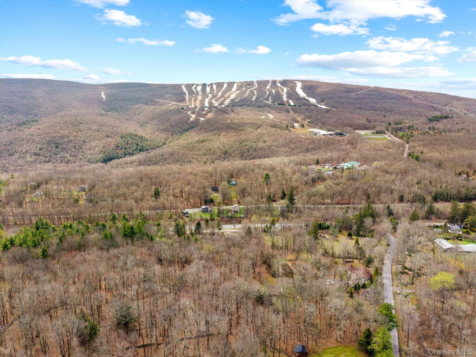 18 Barley Road Pine Hill, NY 12465 - Photo 42 of 50